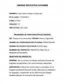 Proyecto de brigada estudiantil.