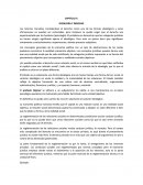 Ideología del derecho marxismo.