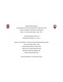 EQUIPO 3: INTEGRANTES Y PORCENTAJE DE PARTICIPACION EN EQUIPO