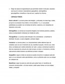 Elegir las bases de segmentación que permitirán dividir el mercado, haciendo uso de por lo menos 4 descriptores (geográficos, demográficos, psicolagráficos, beneficios o tasa de uso) explicar los mismos.