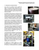 Descripción de la empresa de lácteos