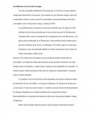 Ecoeficiencia en el uso de la energía.