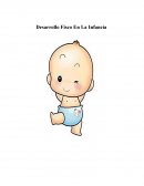 Desarrollo Fisco En La Infanci