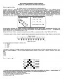 EL SITEMA BINARIO Y LAS UNIDADES DE ALMACENAMIENTO