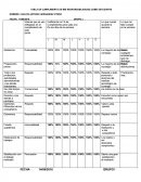 TABLA DE CUMPLIMIENTO DE MIS RESPONSABILIDADES COMO ESTUDIANTE