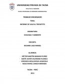 INFORME DE VIAJE AL TRIPARTITO