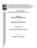 CONSTITUCIONALISMO SOCIAL Y DEMOCRACIA PARTICIPATIVA