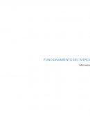 La elasticidad es un tema complejo dentro de la economía, que indica el comportamiento de los consumidores, oferentes, productos y precios.
