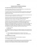 Capitulo 13 Estrategia de sistemas y tecnologías de la información.