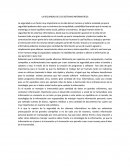 SEGURIDAD DE LOS SISTEMAS INFORMATICOS