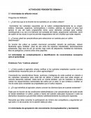 Preguntas de reflexión ¿Cuál cree que es la función de los sustratos en un cultivo urbano?
