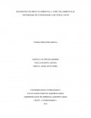 El presente documento tiene como finalidad la socialización de un diagnóstico del manejo ambiental dado en las instalaciones de la universidad de Cundinamarca – Seccional Ubaté y en la Granja “El Tibar”.