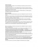 Desventajas del hombre