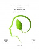 Ensayo “Cuidado del medio ambiente”