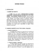 INFORME TECNICO I. INTRODUCCION