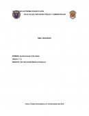 FACULTAD DE CONTADURIA PÚBLICA Y ADMINISTRACION TEMA: SEGURIDAD