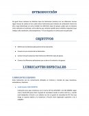 LUBRICANTES ESPECIALES LUBRICANTES LÍQUIDOS