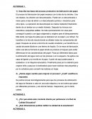 Describe las fases del proceso productivo de fabricación del papel.