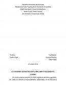 LEY ORGÁNICA DE PROTECCIÓN AL NIÑO, NIÑA Y ADOLESCENTE.