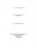 AVANCE DE IDEA DE NEGOCIO