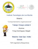 Comportamiento organizacional. Ensayo