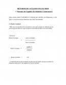 MÉTODOS DE ANÁLISIS FINANCIERO.