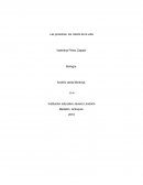 Las proteínas, los robots de la vida