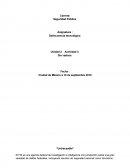 Delincuencia tecnológica Unidad 2 Actividad 3