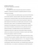 INFORME EXPOSICIONES PLANTAS DE UTILIDAD EN LA INDUSTRIA