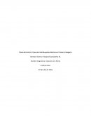Tipos de Contribuyentes Afectos en Primera Categoria.