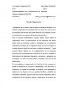 Función Organización