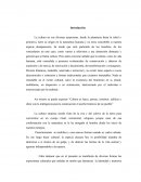 Panelas de San Joaquin