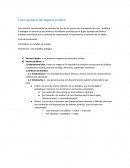 Teoría general del negocio jurídico.