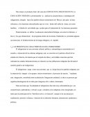 LAS PRINCIPALES CARACTERISTICAS DEL INDIGENISMO