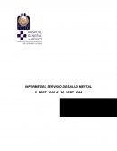 INFORME DEL SERVICIO DE SALUD MENTAL