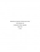 Modelamiento de seguridad en diferentes tipos de redes