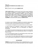 Modelo de una accion de tutela