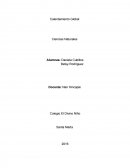 Calentamiento Global Ciencias Naturales