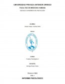 Pruebas Psicológicas II .INFORME PSICOLÓGICO