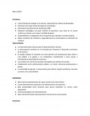 Matriz DAFO Fortalezas