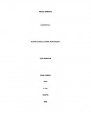 MEDIO AMBIENTE HUMANISTICA