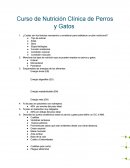 Curso de Nutrición Clínica de Perros y Gatos