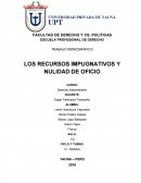 LOS RECURSOS IMPUGNATIVOS Y NULIDAD DE OFICIO.