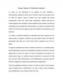Ensayo Capitulo 2 “Diferencias Culturales”