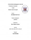 INFORME PRACTICA I