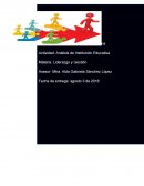 ANÁLISIS INSTITUCIN EDUCATIVA.