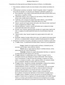 Exponemos en la clase ejercicios que trabajen las piernas, los brazos y los abdominales.