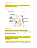 Endocrinología: Es la ciencia que estudia las estructuras y funciones de las glándulas endócrinas el diagnóstico y tratamiento de los desórdenes.