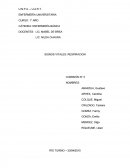 Tema- Frecuencia respiratoria.