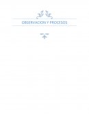 OBSERVACION Y PROCESOS.